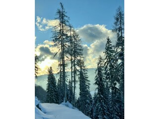 IMG_5791