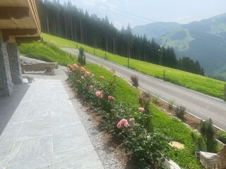 Rosen vor Wellnessbereich
