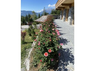 IMG_3165