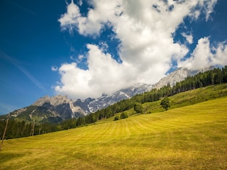 20170622_ElmaugutAussen_210-HDR