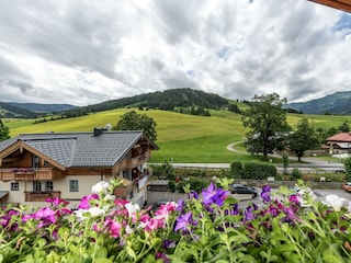 Blick auf den Natrun