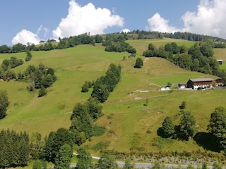HOF 01