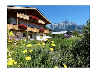 Almerde_Sommergarten