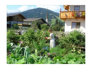 Almerde  Apartment Gemüsegarten