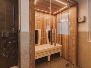 Altholz-Infrarotkabine