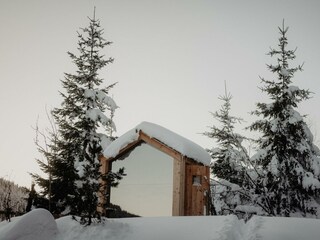 20241212-Birgkar-290