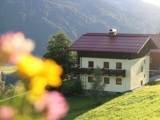 Molterau.jpg