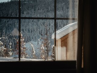 20241212-Birgkar-59 Kopie