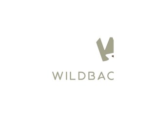 WB_LOGO