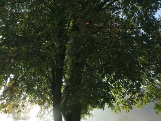 IMG_1610