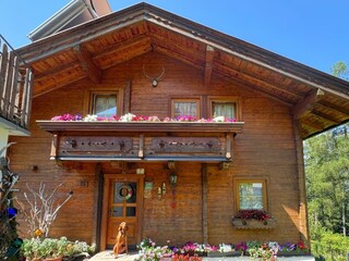 Báró Magyar Vizsla Jagdhund vor unserem Chalet