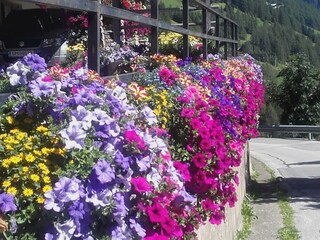 20160824_141932