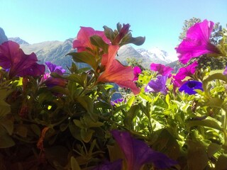 20160824_135454