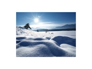 Winterlust