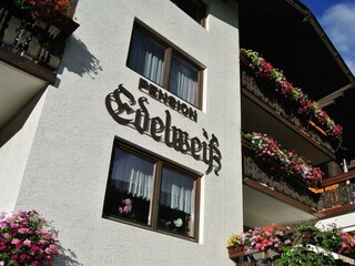 Edelweiß einmal anders