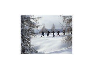 Schneeschuhwandern_Flattach_Mölltal_Kärnten (7)
