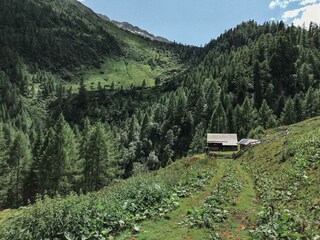 Urlaub-auf-der-Alm