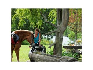 Wohlfühlen für Mensch und Tier