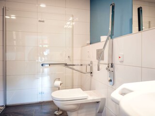 dowstairs  wetroom with grab handles