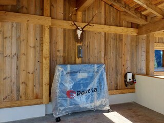 Tischtennistisch und E-Ladestation