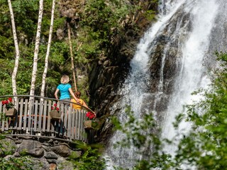 176-19__FRANZGERDL_NPHT-Moelltal