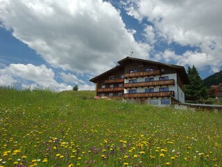 Unser Almhotel im Sommer