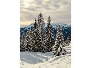 Winterpanorama mit Blickrichtung Süden