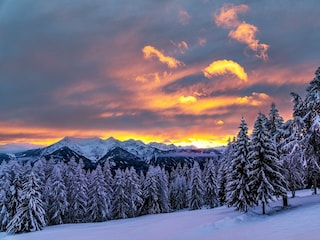 Weihnachten 2019 von Birgit Papst