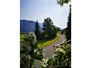 352240097_139402715825724_1695337067362352229_n