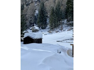 IMG_4343