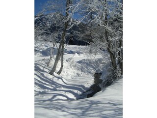 Im_Tauern_Tal