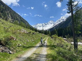IMG_5331