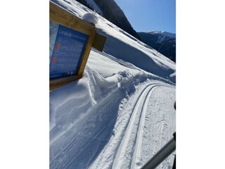 IMG_3317