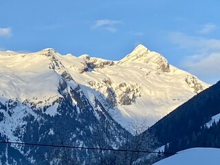IMG_3804