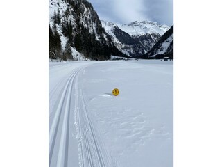 IMG_3752