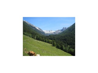 Blick in die Rieggenalm