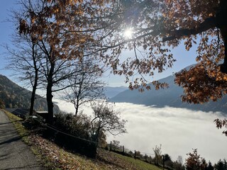 Aussicht vom Lechnerhof