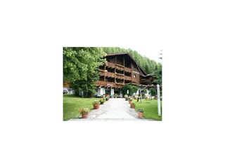 Senger Sommer2_600x600_100KB