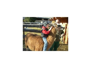 Moritz reitet auf Ninjo