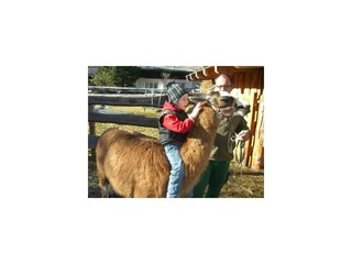 Moritz reitet auf Ninjo