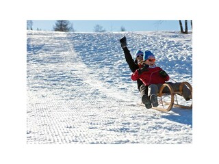 Döllacher Dorfwirtshaus Schlittenfahren
