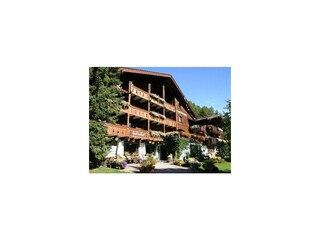 Senger Sommer1_600x600_100KB