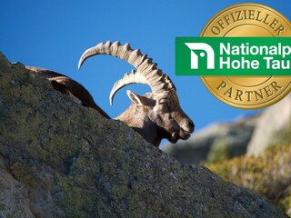 Wir sind offizieller Nationalpark-Partner
