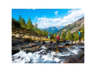 040-16 _FRANZGERDL NPHT Säuleck_3330_klein