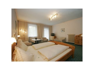 Zimmerbeispiel 4 Sterne
