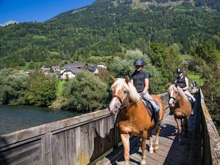 Reiten am Krabeterhof