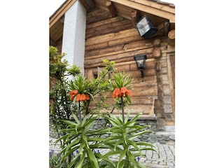 Hu?tte mit Osterglocken