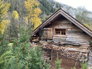 Hu?tte außen Herbst mit Hecke