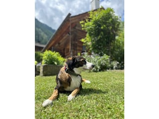 Urlaub mit Hund in der Romantikhu?tte Eggerfeld