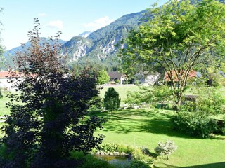 DSC_0052 (2)